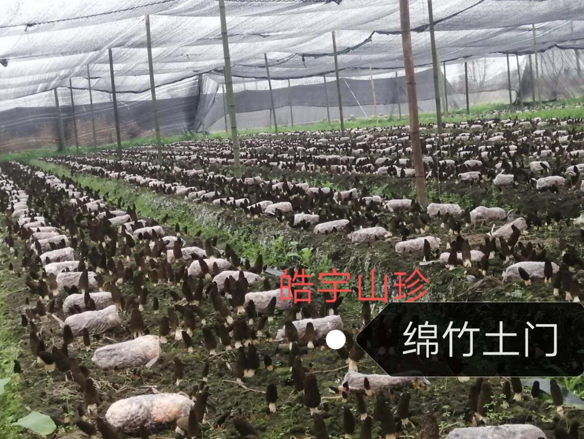 &#19975;&#35937;&#22478;&#22312;&#32447;&#30331;&#24405;&#45;&#19975;&#35937;&#22478;&#65288;&#20013;&#22269;&#65289;