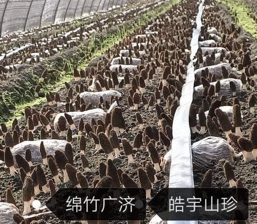 &#19975;&#35937;&#22478;&#22312;&#32447;&#30331;&#24405;&#45;&#19975;&#35937;&#22478;&#65288;&#20013;&#22269;&#65289;