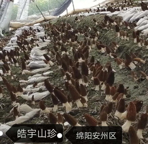 &#19975;&#35937;&#22478;&#22312;&#32447;&#30331;&#24405;&#45;&#19975;&#35937;&#22478;&#65288;&#20013;&#22269;&#65289;