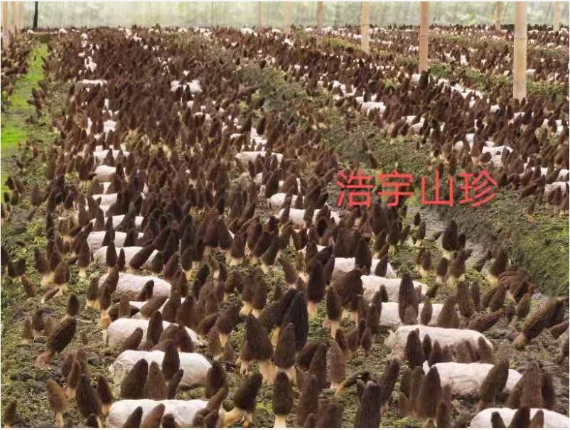 &#19975;&#35937;&#22478;&#22312;&#32447;&#30331;&#24405;&#45;&#19975;&#35937;&#22478;&#65288;&#20013;&#22269;&#65289;