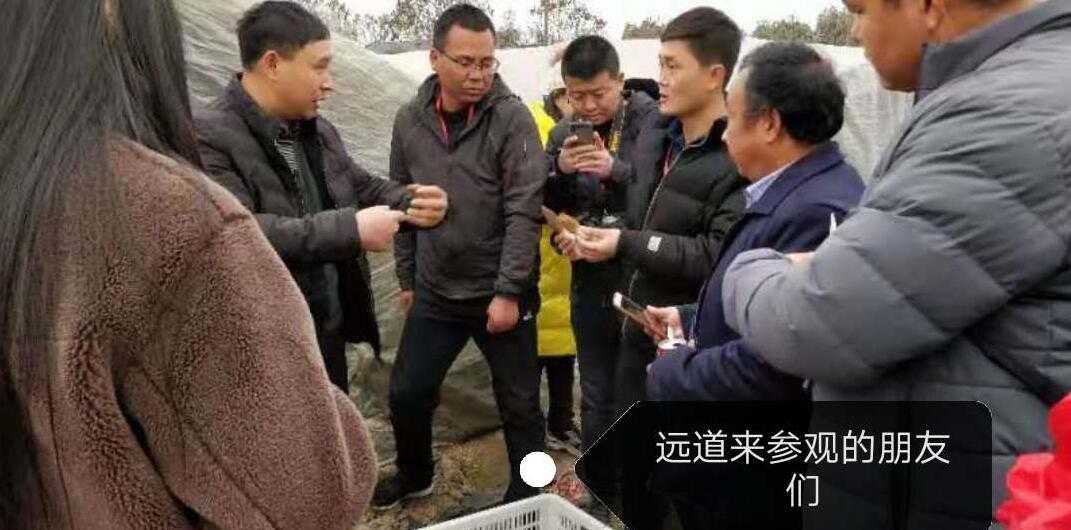 &#19975;&#35937;&#22478;&#22312;&#32447;&#30331;&#24405;&#45;&#19975;&#35937;&#22478;&#65288;&#20013;&#22269;&#65289;