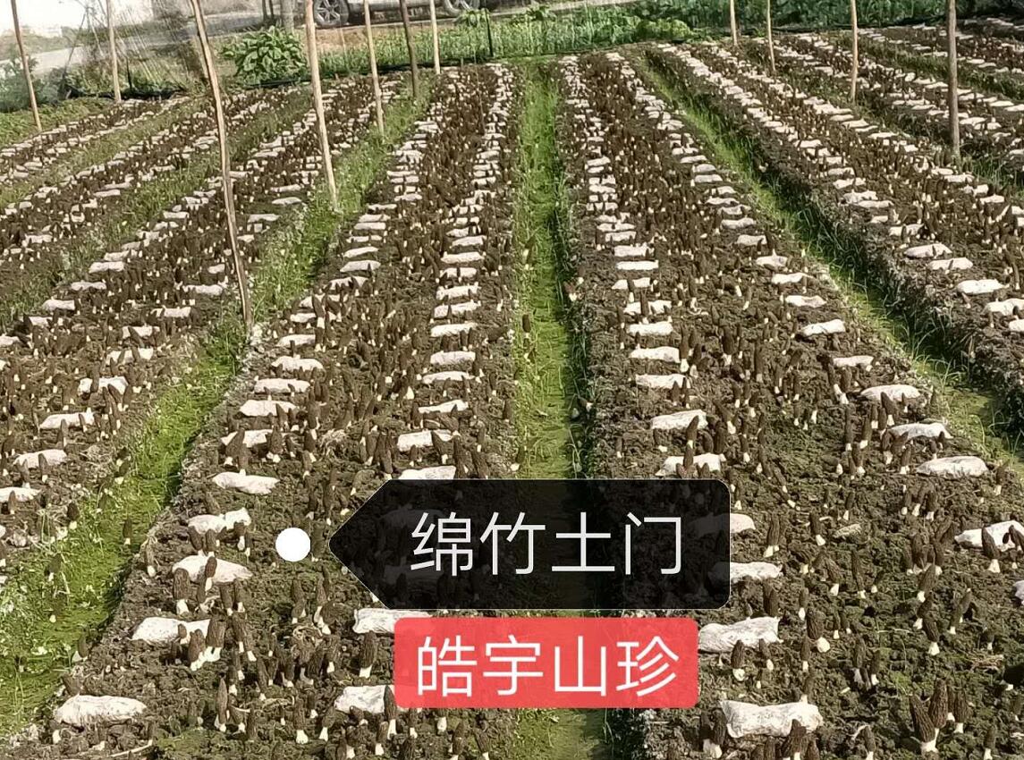 &#19975;&#35937;&#22478;&#22312;&#32447;&#30331;&#24405;&#45;&#19975;&#35937;&#22478;&#65288;&#20013;&#22269;&#65289;