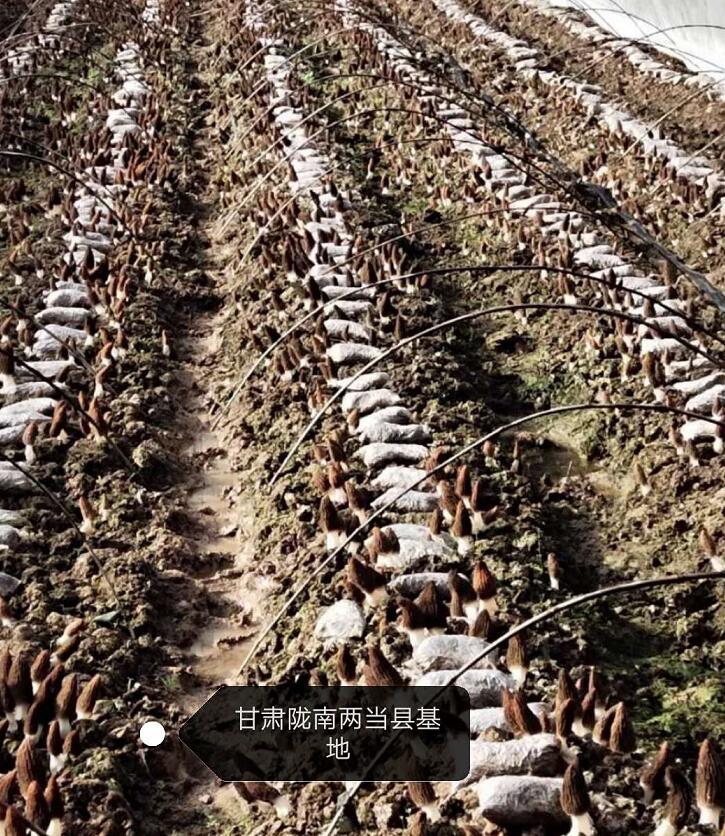&#19975;&#35937;&#22478;&#22312;&#32447;&#30331;&#24405;&#45;&#19975;&#35937;&#22478;&#65288;&#20013;&#22269;&#65289;