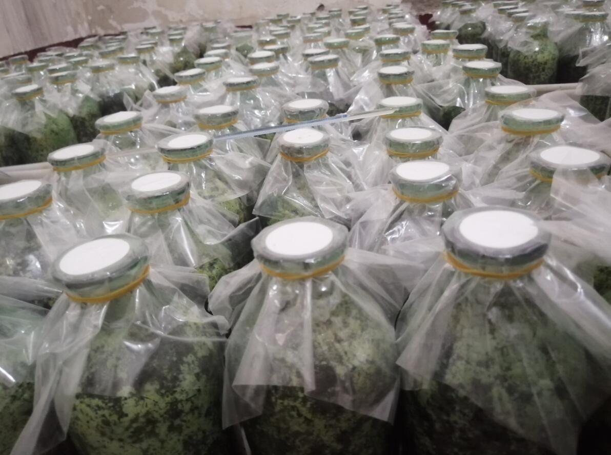 &#19975;&#35937;&#22478;&#22312;&#32447;&#30331;&#24405;&#45;&#19975;&#35937;&#22478;&#65288;&#20013;&#22269;&#65289;